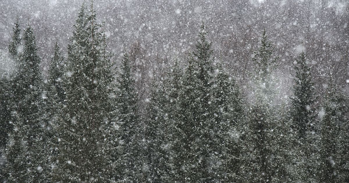 Avalanche Developers and Investors Form $200M ‘Blizzard’ Investment Fund