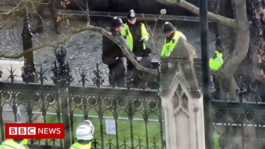 Man arrested after breaching Houses of Parliament fences