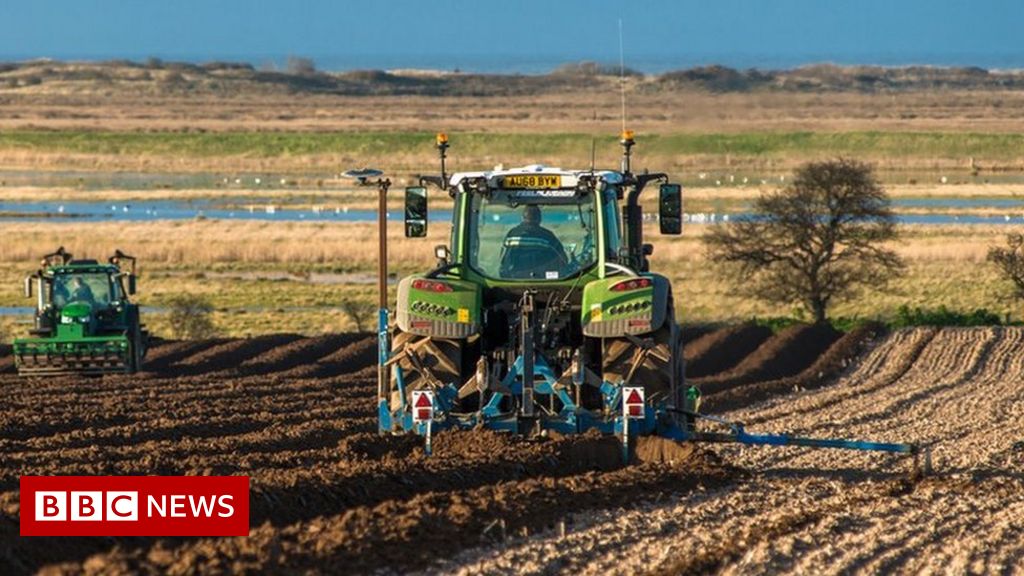 New plan to pay farmers who protect winter soil