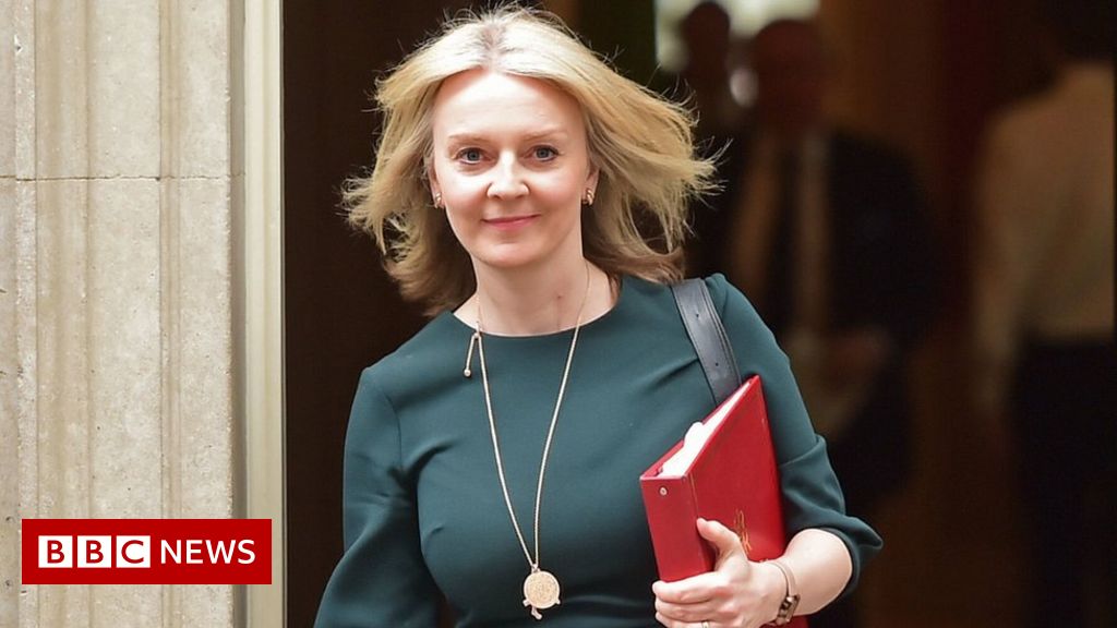 Liz Truss replaces Lord Frost in post-Brexit talks