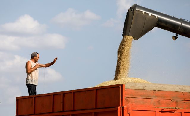 Russia proposes higher wheat export tax formula if prices reach $375/t