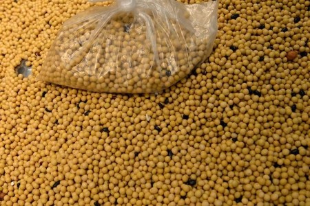 China buys U.S., Brazilian soybeans after price drop
