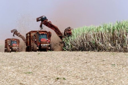 SOFTS-Sugar hits four-month lows as Omicron fears persist