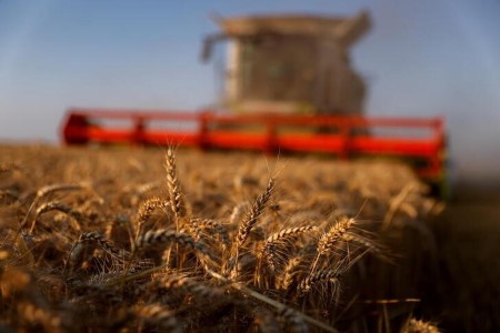 GRAINS-Wheat slide continues in volatile week; soy and corn edge up