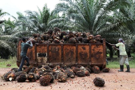 VEGOILS-Palm oil jumps 3% to one-week high on lower stocks forecast