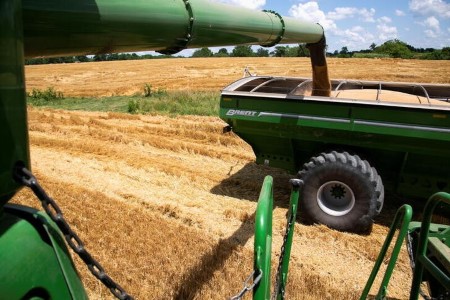GRAINS-Wheat set for second weekly decline on improved world supply outlook
