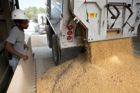 GRAINS-Soy, corn set multi-month highs on S.American crop uncertainty