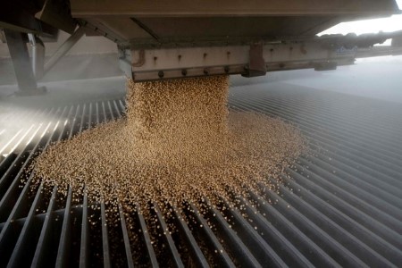 CGB, Minnesota Soybean Processors to build North Dakota crushing plant