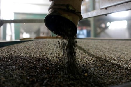 SOFTS-Robusta coffee hits over 10-year high; sugar, cocoa jump