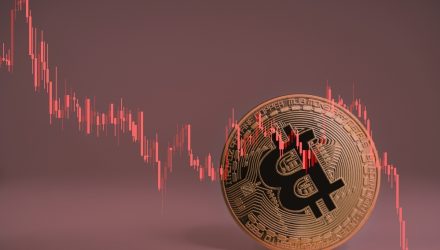 Could There Be a Bitcoin Crash Next Year?