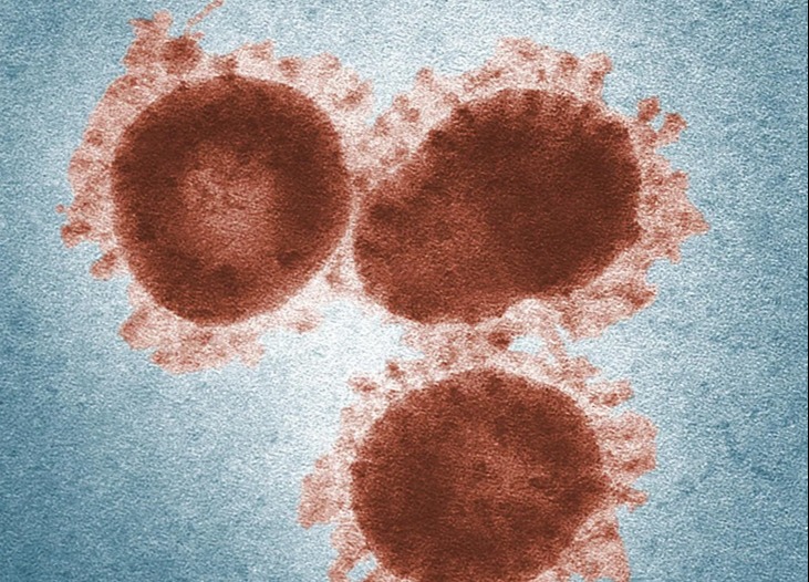 South Africa says its Omicron wave has passed its peak with no big spike in deaths
