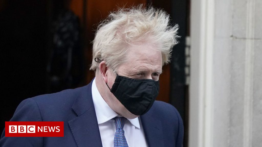 Boris Johnson criticised over Downing Street flat probe