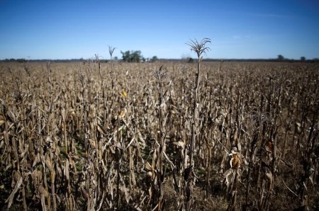 Heat wave to hit Argentina, further stressing corn, soybean crops