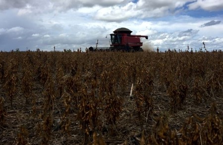 COLUMN-High prices, South America and China steering U.S. soy exports -Braun