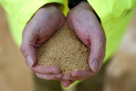 SOFTS-Raw sugar hits lowest in 5-1/2 months; coffee, cocoa also fall
