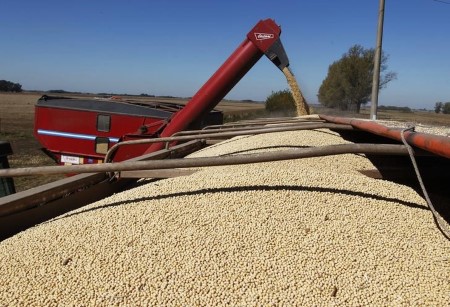 GRAINS-Soybeans tick up, gains curbed by improved S.American weather outlook