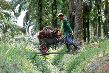 VEGOILS-Palm gains for fourth day on weak production outlook