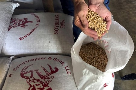 GRAINS-Soybeans, corn tick lower ahead of USDA data