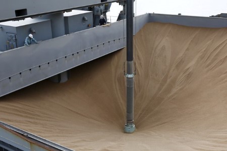Japan to seek 80,000 tonnes of feed wheat and 100,000 tonnes barley via tender