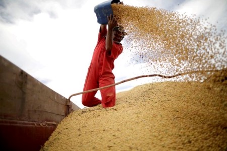 GRAINS-U.S. corn, wheat rally to highest since December; soybeans jump 2.2%