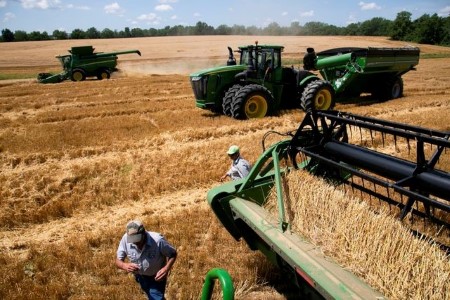 GRAINS-Wheat rebounds on global supply worries; soybeans, corn gain