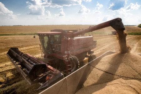 COLUMN-Ukraine’s rising role in grain exports complicates impact of crisis -Braun