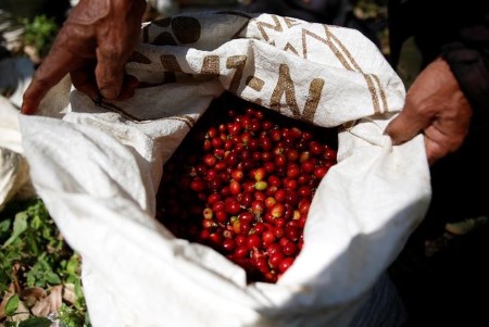 SOFTS-Arabica coffee prices rise 2%, sugar futures ease