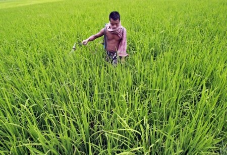 EXCLUSIVE-India plans over $40 billion for food, fertiliser subsidy for 2022/23 – sources