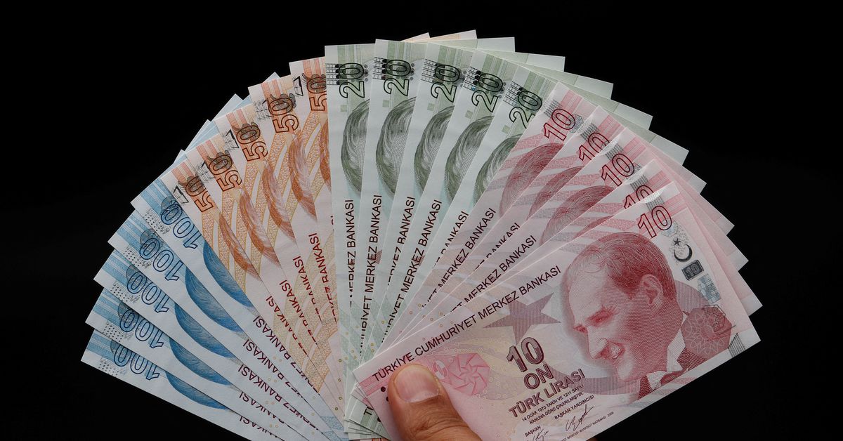 Turkish lira firms as minister sees limited inflation