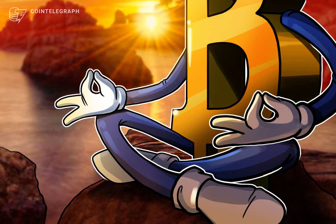 Bitcoin price up-down debate ‘mostly noise,’ watch network’s Apple-esque growth