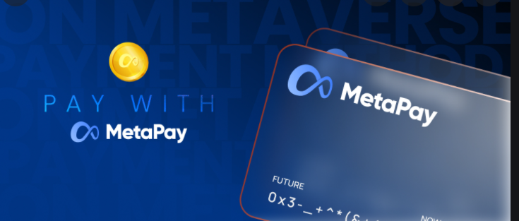 Why Is MetaPay (METAPAY) Today’s Top Earner?