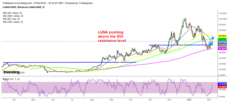 Are the Cryptos Terra LUNA and Polkadot Resuming the Uptrend?