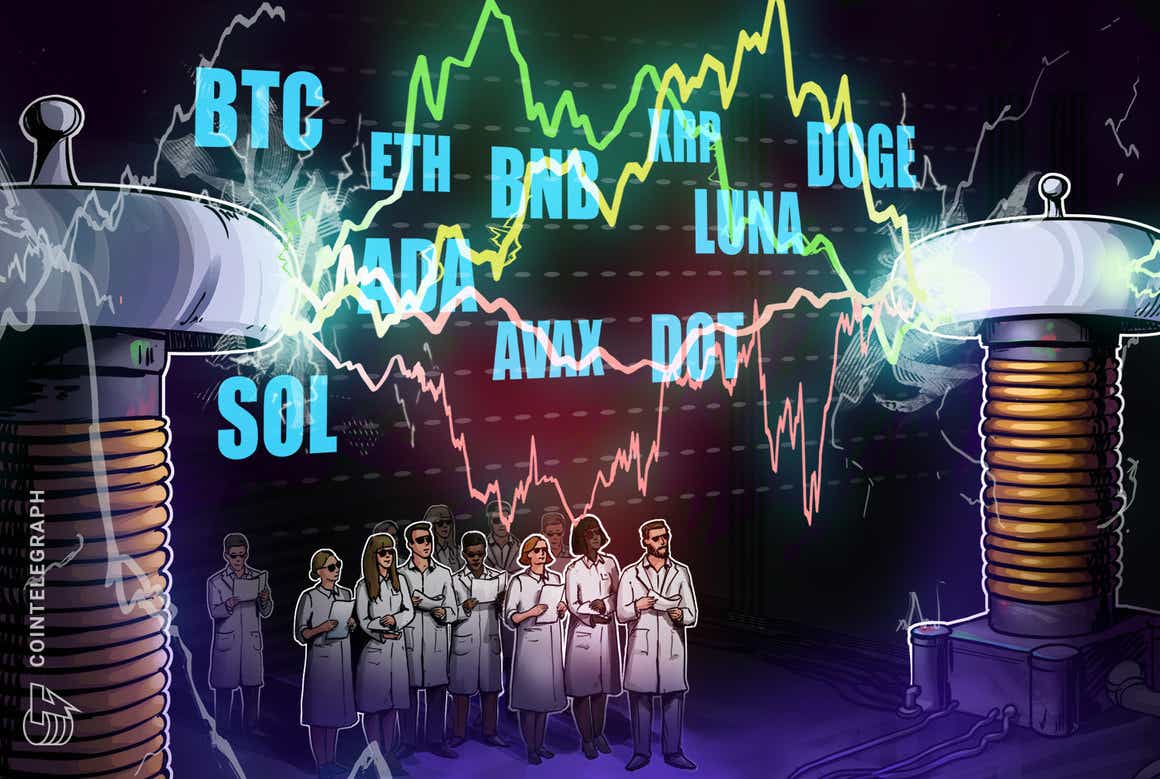 BTC, ETH, BNB, XRP, LUNA, SOL, ADA, AVAX, DOT, DOGE