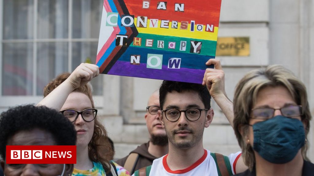 Conversion therapy ban: Over 80 LGBT groups quit government conference