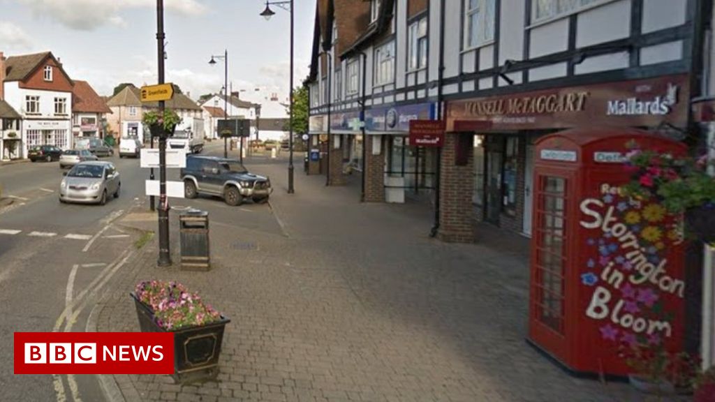 Apology after activist in Horsham removes candidate's leaflet