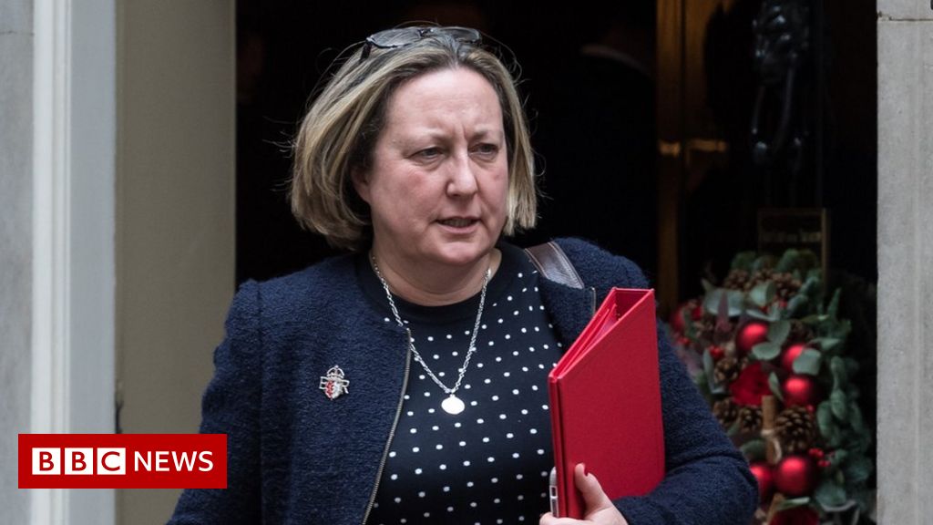 Cabinet minister Anne-Marie Trevelyan says she was pinned against wall by male MP