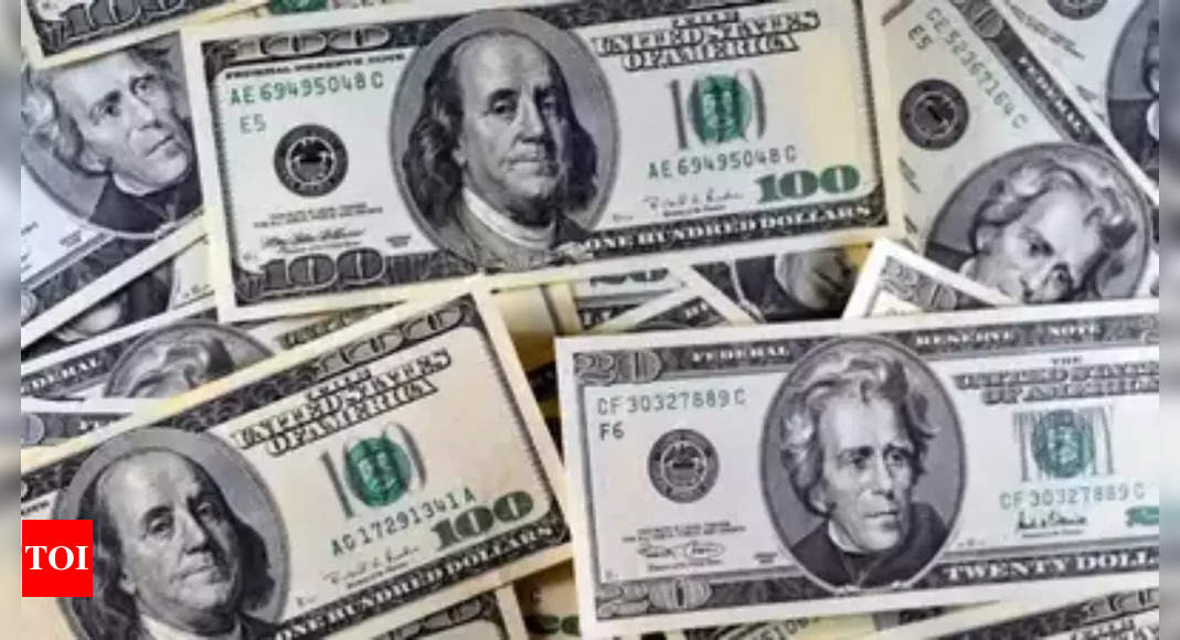 Forex reserves down $311 million to $603.694 billion
