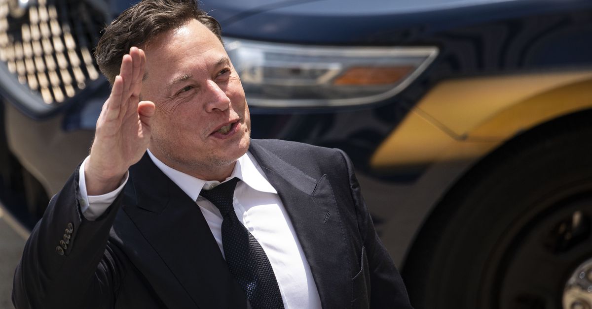 Elon Musk Shouldn't Lead Twitter