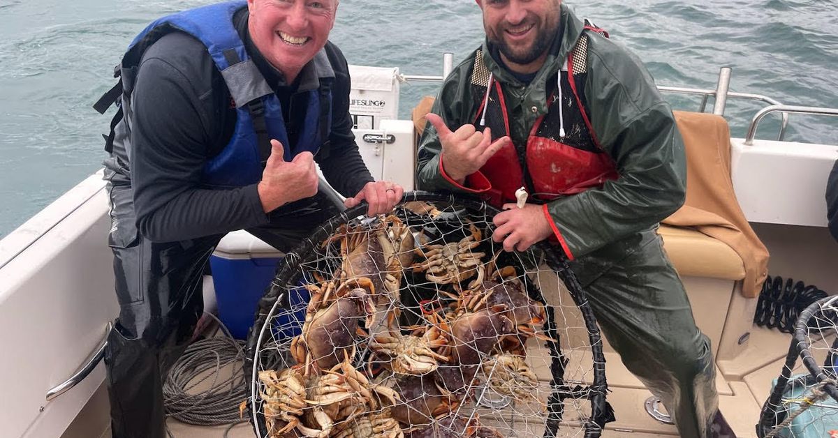 California Crabs Tracked by Helium Network