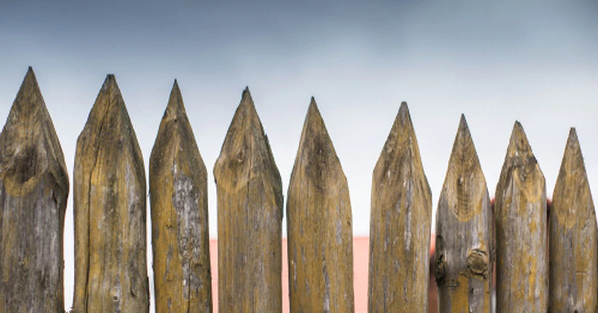 Staking Solution Chorus One Launches Up to $30M Proof-of-Stake Investment Fund