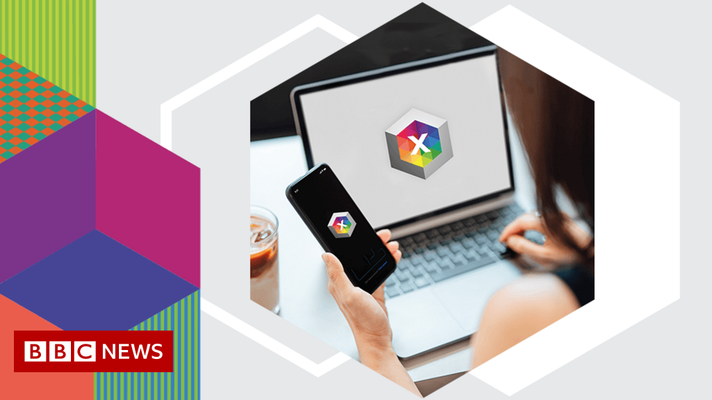 Elections 2022: How to follow the results on the BBC