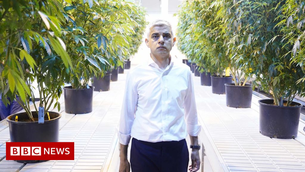 London Drugs Commission to look at legalising cannabis