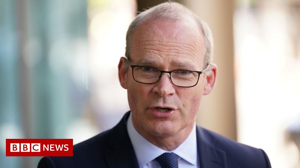 NI protocol: Unilateral action by UK government ‘could erode peace’