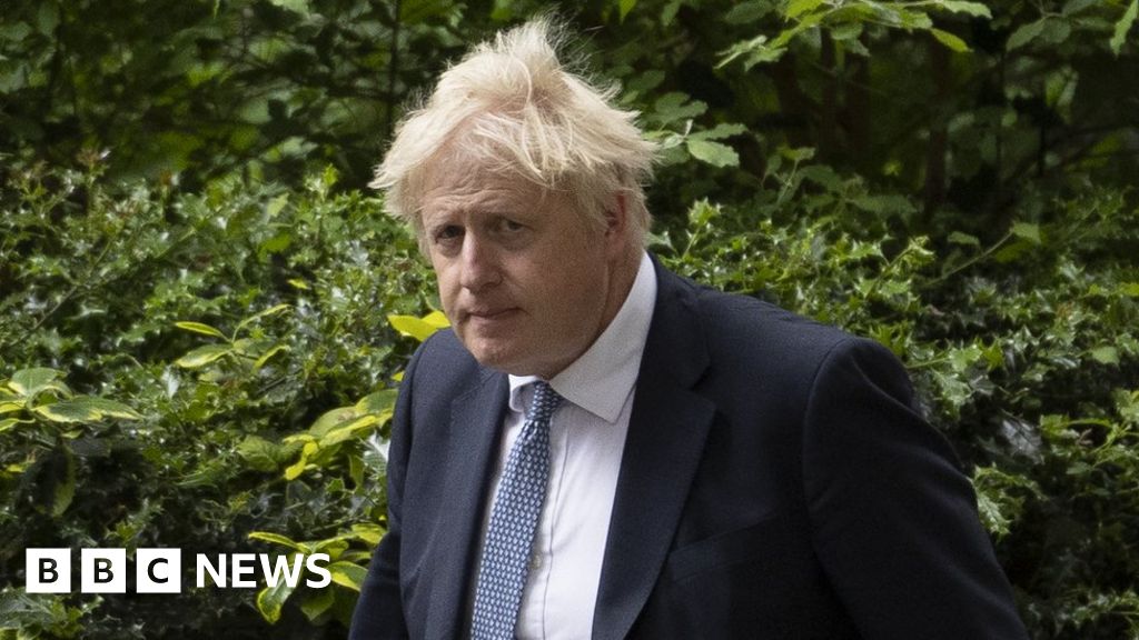 Pressure grows on Boris Johnson after Partygate report
