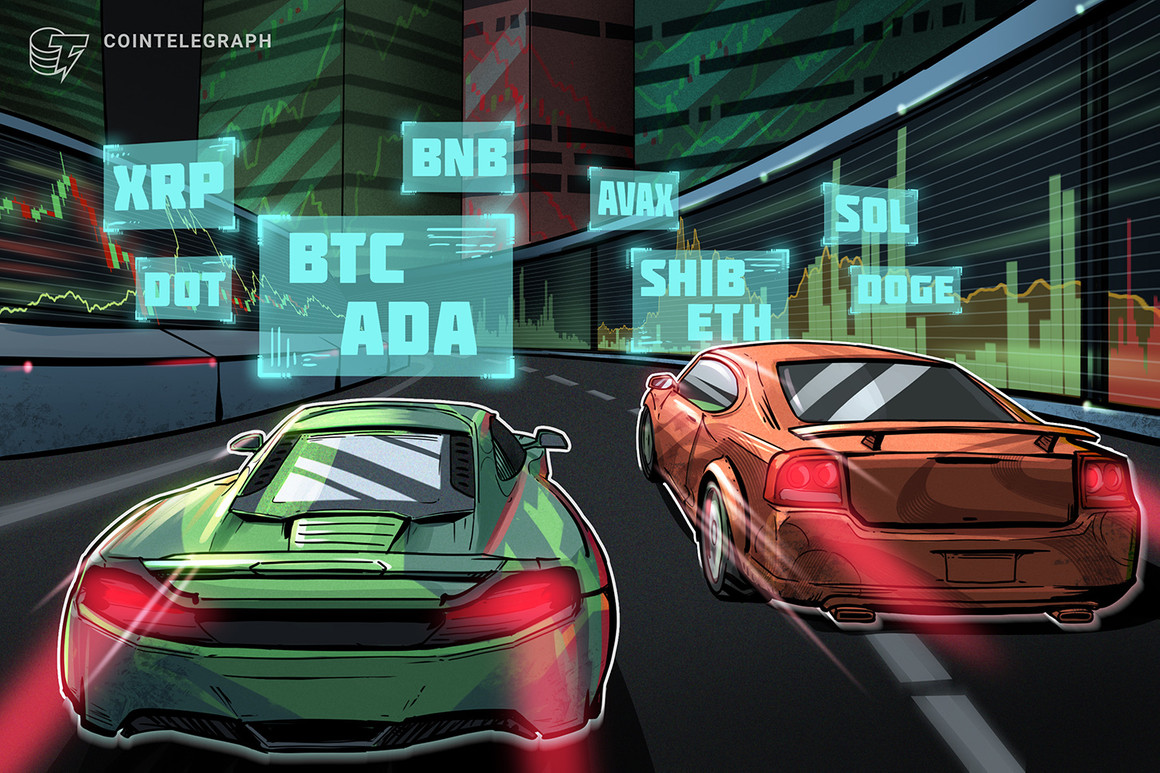 BTC, ETH, BNB, ADA, XRP, SOL, DOGE, DOT, AVAX, SHIB