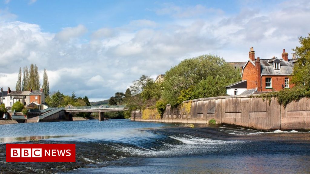 Tiverton and Honiton by-election: Eight to stand in poll