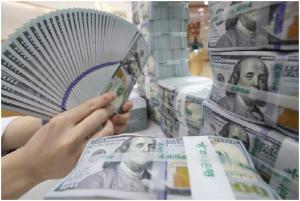 Foreign Exchange Reserves Decrease in May