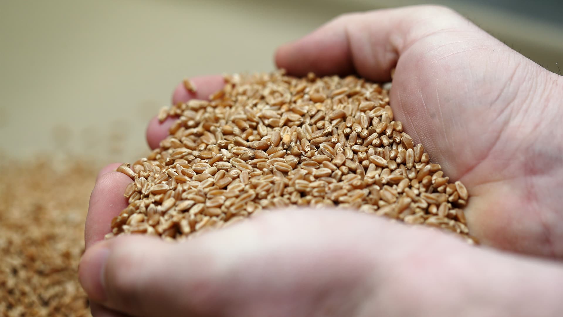 AGCO CEO says he expects grain shortage to last into next year