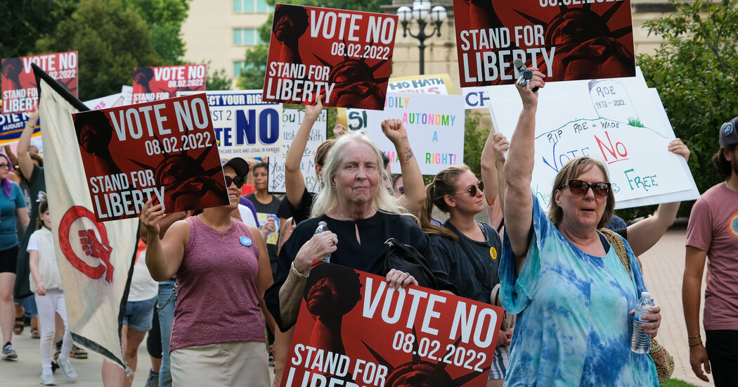 Progressive Groups Push Democrats on ‘Freedom’ for Midterm Election Message