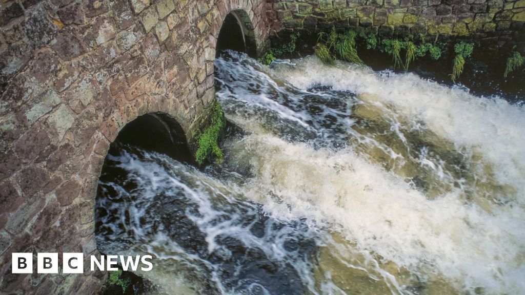 Sewage in sea: French appeal to EU over UK discharges of waste